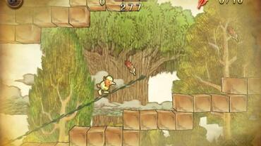 Ivy-the-Kiwi---2.jpg