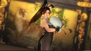 Dead-or-Alive-5-Last-Round-340.jpg