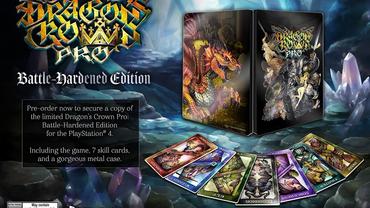 Dragon-s-Crown-Pro-82.jpg