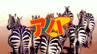 A-ha---Experience-for-everybody---2-6.jpg