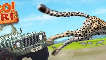 Jambo--Safari--Ranger-Adventure-1.jpg