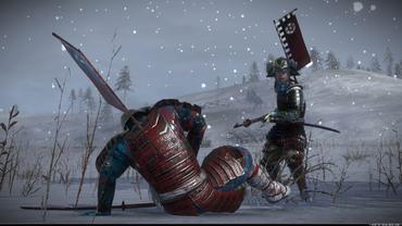Total-War---Shogun-2-15.jpg