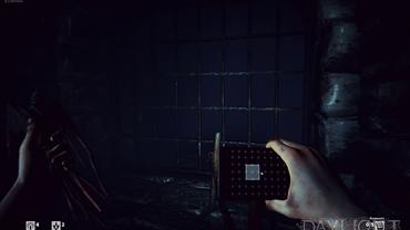 Daylight-16.jpg