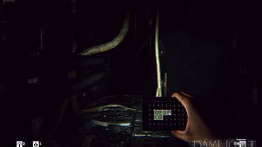 Daylight-18.jpg