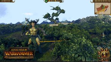 Total-War---Warhammer---Realm-of-The-Wood-Elves-7.jpg