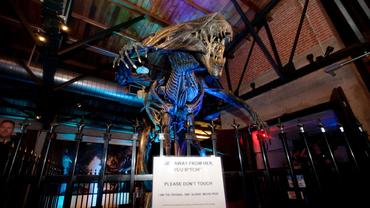 Aliens---Colonial-Marines-17.jpg