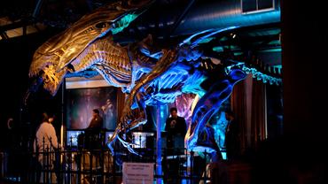 Aliens---Colonial-Marines-22.jpg