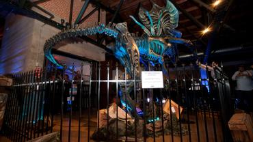 Aliens---Colonial-Marines-23.jpg
