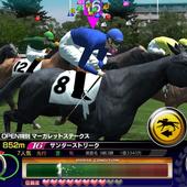 Derby-Owners-Club-3.jpg