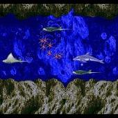 3D-Ecco-the-Dolphin--3dsware--2.jpg