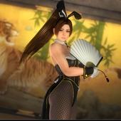 Dead-or-Alive-5-Last-Round-340.jpg