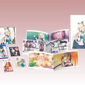 Blade-Arcus-Rebellion-from-Shining-5.jpg