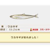42912010120875621.jpg