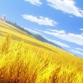 Shining-Ark-39.jpg