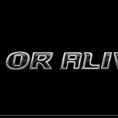 Dead-or-Alive-5-Plus-1.jpg