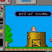Wonder-Boy-in-Monster-Land---Arcade-11.jpg