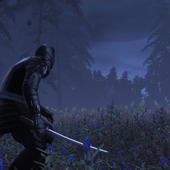 Total-War---Shogun-2-19.jpg