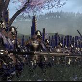 Total-War---Shogun-2-9.jpg