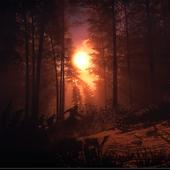 Total-War---Three-Kingdoms-28.jpg
