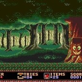 Castle-of-Illusion-Starring-Mickey-Mouse-1.jpg