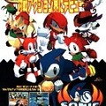 Sonic The Fighters