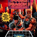 Double Dragon 3: The Arcade Game