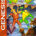 Battletoads & Double Dragon: The Ultimate Team