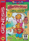 The Berenstain Bears: Camping Adventure