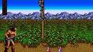 330720100921214208.jpg