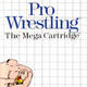 Pro Wrestling