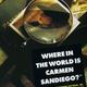 Where in the World is Carmen Sandiego ?